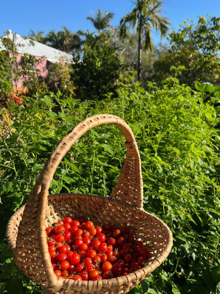 He said it has been the “best ever” winter for a number of Spring crops in his garden. Picture: Facebook