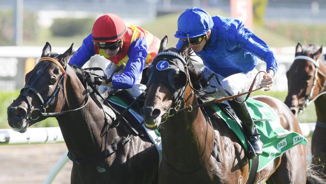 Badajoz has been backed to run a big race first-up on Saturday.