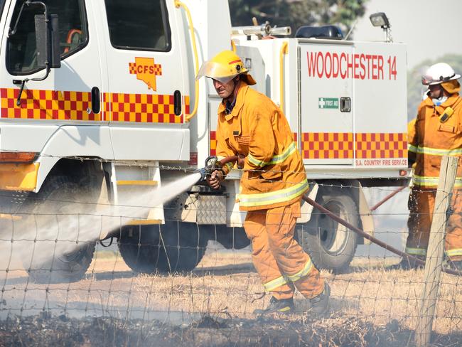 Firefighters at the Mosquito Hill Bushfire . Picture: Tom Huntley