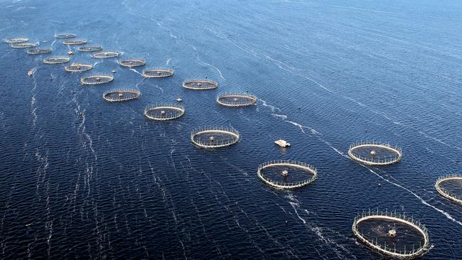 Huon Aquaculture predator proof fish pens at Hideaway bay.