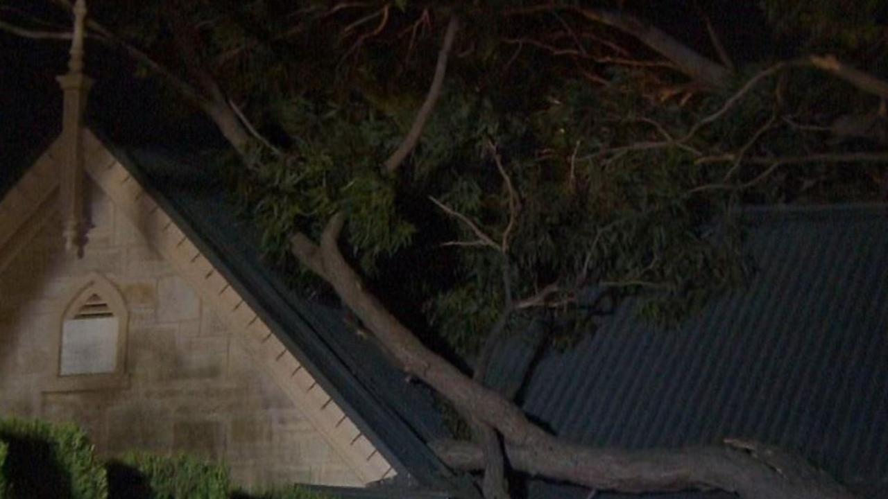 Strong winds brought down a large branch onto a home at Toorak Gardens. Picture: 7NEWS