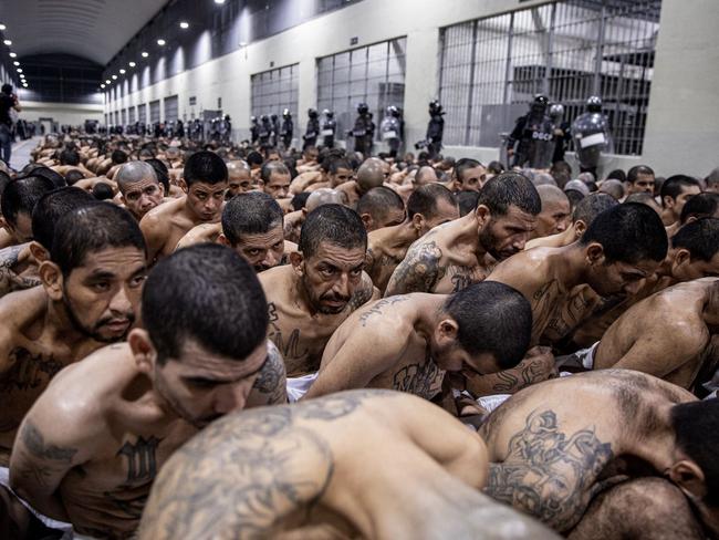 As part of President Nayib Bukele’s war on crime, new inmates are stacked closely together from MS-13 and 18 gangs at the Terrorist Confinement Centre (CECOT) in San Salvador. Picture: AFP