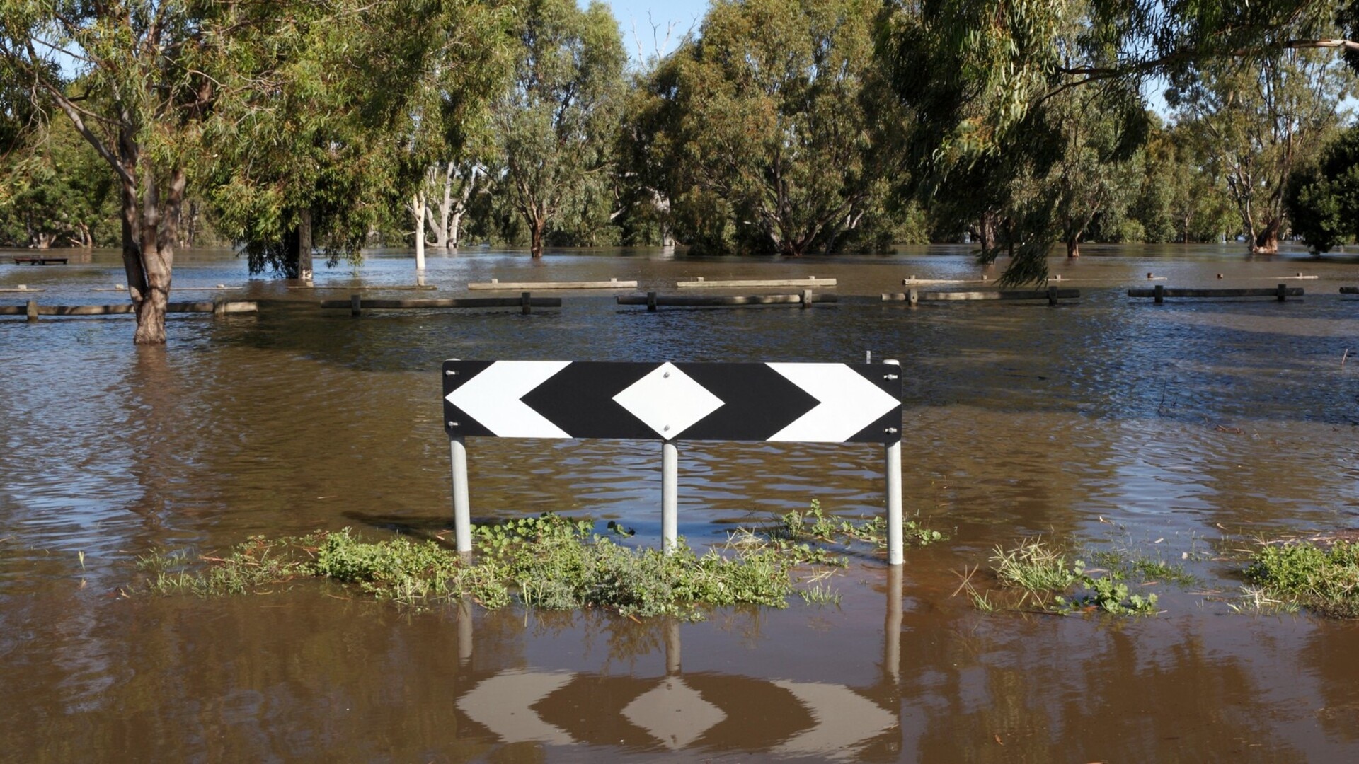 Many Australians ‘can’t afford’ insurance to cope with severe weather events