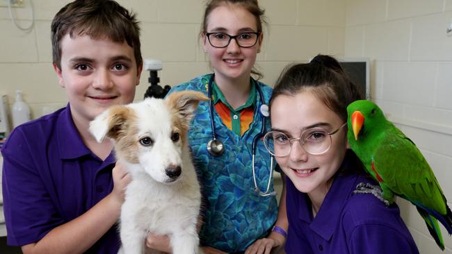 Boongarry Veterinary Services hosts school holiday clinic for