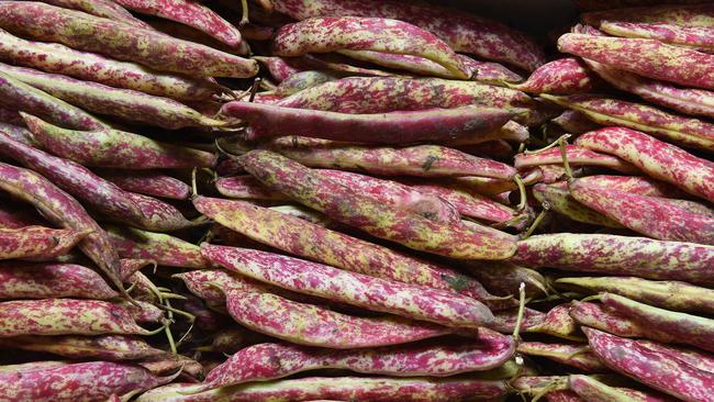 Beautiful borlotti beans. Picture: Josie Hayden