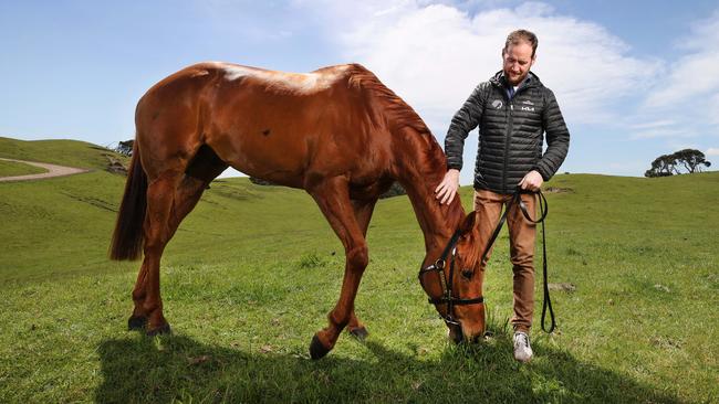 Ciaron Maher with Smokin’ Romans, the $5 favourite with TAB in the $5m Group 1 Caulfield Cup. Picture: David Caird