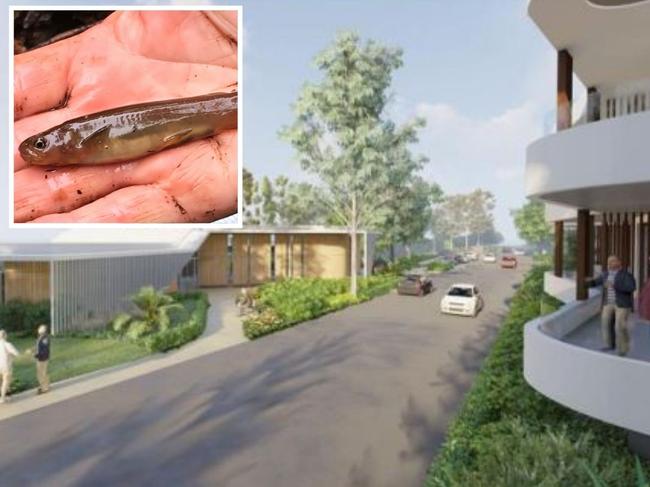 The fish that may stop a major aged care redevelopment