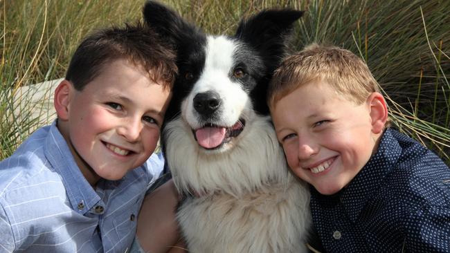 Band of brothers: Josh, Sam the Border Collie and Ben. Picture: Kerry McGlade