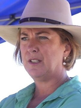 Water Minister Melinda Pavey. Picture: Frank Redward