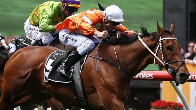 Veteran stayer Who Shot Thebarman has been allotted 55.5kg in the Cups. Picture: AAP