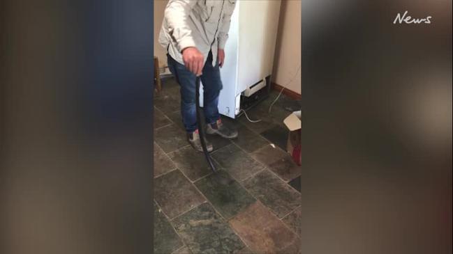 Red-bellied black snake found hiding under family’s fridge at Pages ...