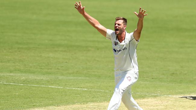 Mark Steketee in action for the Bulls on February 10, 2022, in Brisbane, Australia. (Photo by Chris Hyde/Getty Images)