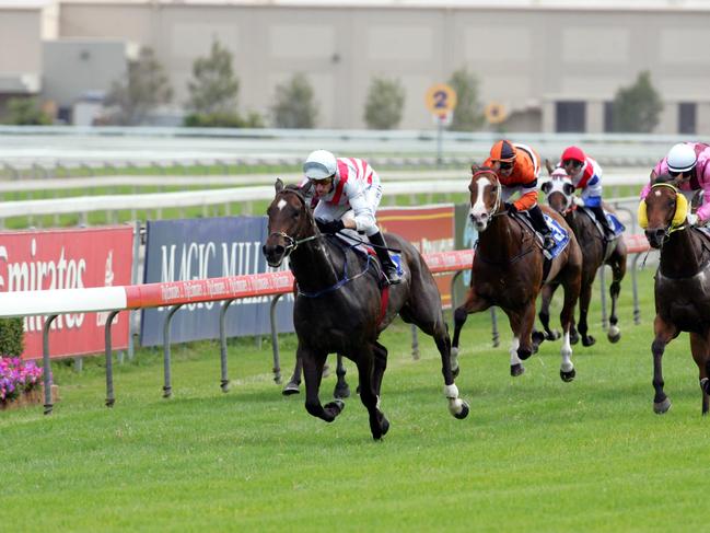 The Gold Coast Turf Club post equine influenza. Winner of race 8, Turfiste, ridden by Glen Colless.