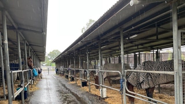 Castle Hill Showground has transformed into an evacuation centre for horses, livestock and domestic animals. Picture: The Hills Shire Council