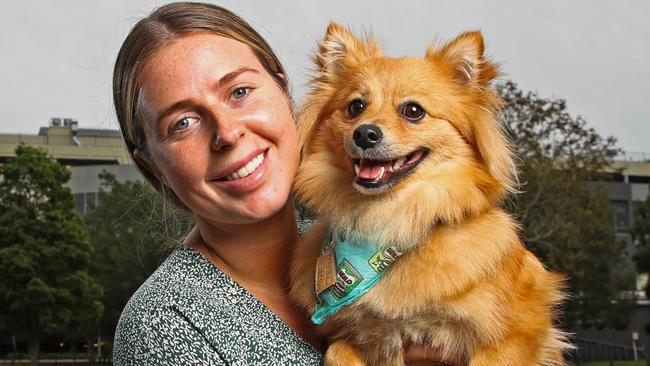 Australia’s most popular dog names revealed