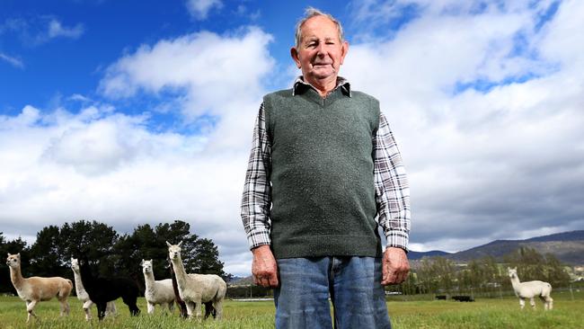 Retired farmer Vivian Bennett, 86, was part of the first Huon Show and is still helping out 70 years later.  Picture: NIKKI DAVIS-JONES