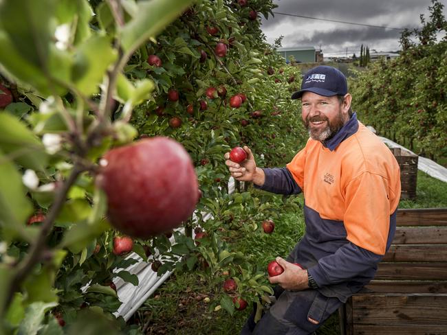 Third-generation apple grower Andy Flavell is relieved rain has started to fall on the family orchard, at Forest Range. Picture: Mike Burton/AAP