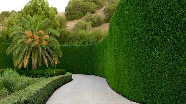 Now that’s a hedge.