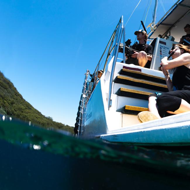 Sally Walker serenades dolphins at Port Stephens in 2024. Picture: Gergo Rugli