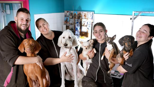 DogFX team members Daniel Minchin with Sammy, Meagan Rachwal with Bruce. Tayla Politis with Lucy and Kenny and Erin Quici with Gunner. Picture: Dean Martin