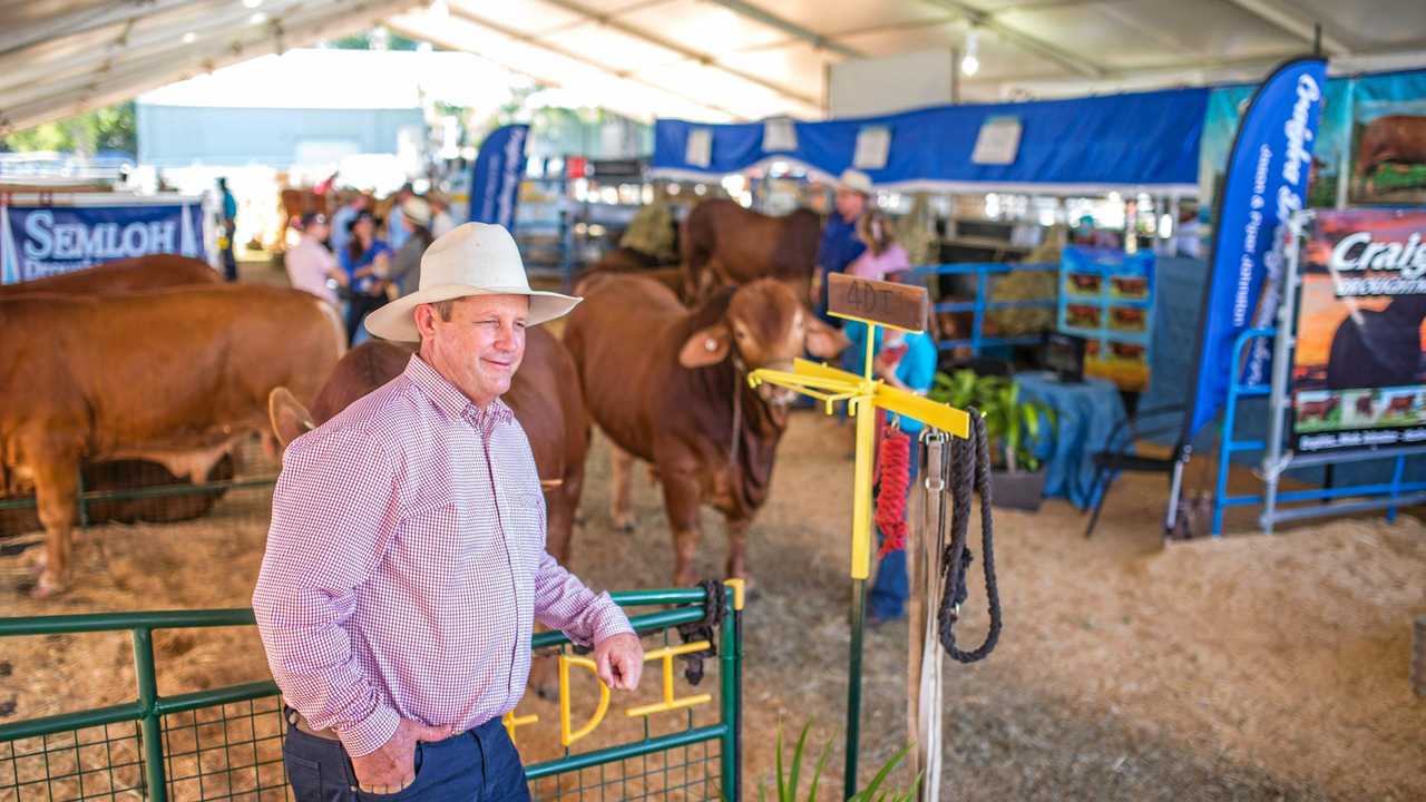 NEW CHAPTER: After 15 years, Beef Australia chairman Blair Angus has stepped down. Picture: Orin Lucke