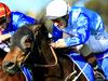 Midweek Best Bets