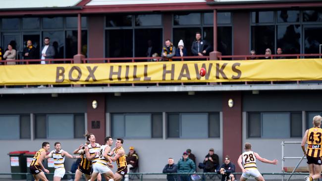 The Box Hill Hawks and other Whitehorse sports clubs are set to benefit from a revamped Box Hill City Oval. File picture.