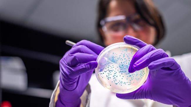 Finding answers to drug resistant superbugs is a vital public health issue.