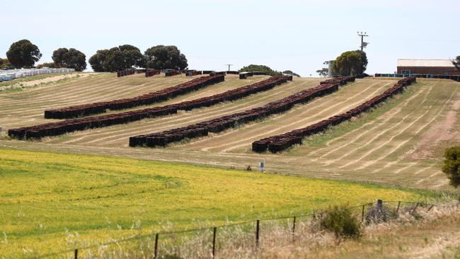 Drilling samples at the proposed mine site near Ardrossan. Picture: Tait Schmaal