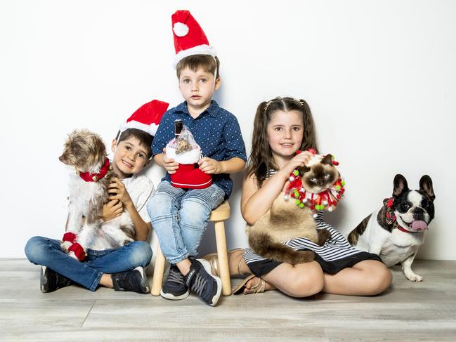 Six-year-old Hayden Callus with Lino, four-year-old Flynn Callus, and nine-year-old Ava Callus with Murphy and Airlie at DoggyTopia, Kallangur, Tuesday, December 15, 2020 - Picture: Richard Walker