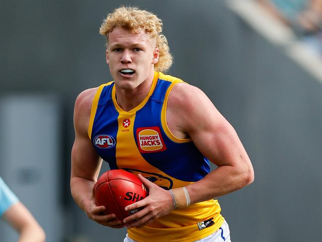 HOBART, AUSTRALIA - AUG 10: Reuben Ginbey of the Eagles in action during the 2024 AFL Round 22 match between the North Melbourne Kangaroos and the West Coast Eagles at Blundstone Arena on August 10, 2024 in Hobart, Australia. (Photo by Dylan Burns/AFL Photos via Getty Images)