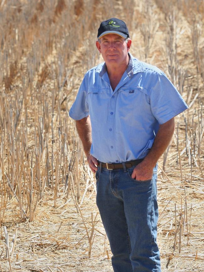 Peter Lawless of Yarrawonga is grateful for 50mm of rain that fell three weeks ago.