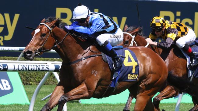 Progressive filly Arctic Glamour can bring up the hat-trick in the Callander-Presnell at Randwick on Saturday. Picture: Grant Guy