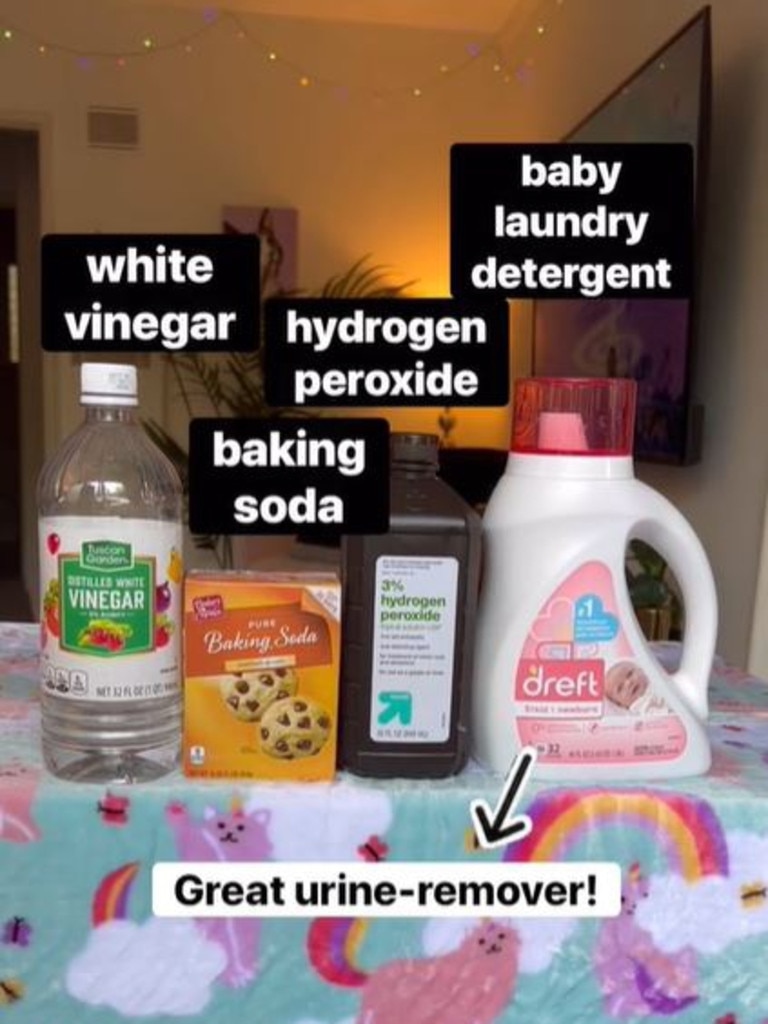 Vinegar, ammonia, dishwashing liquid and water can all be useful in getting urine stains out the right way. Picture: bestfriendsanimalsociety, TikTok