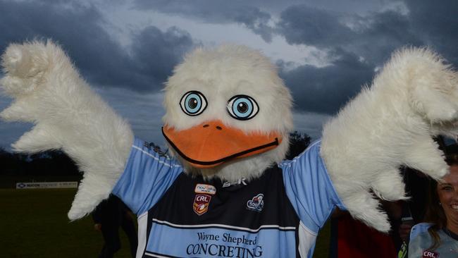 Ballina Shire Council will meet on Thursday, June 24, from 9am at council chambers, to discuss the Ballina Seagulls’ debt. Photo Cathy Adams / The Northern Star