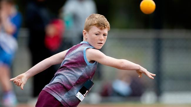 Action from the Little Athletics meet at Campbelltown. Pic: Steven Markham