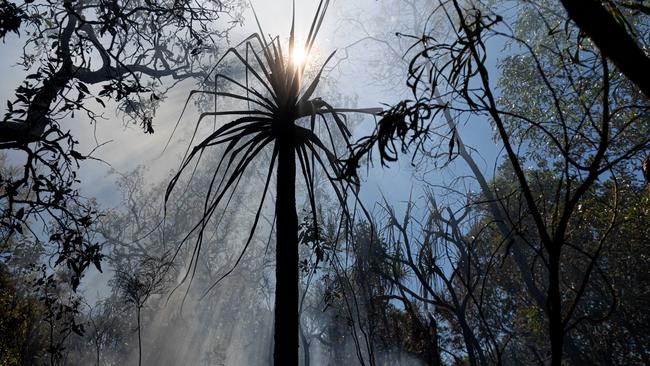 Trees and shrubbery burnt in the bushfire in Noonamah on Monday night. Picture: Che Chorley