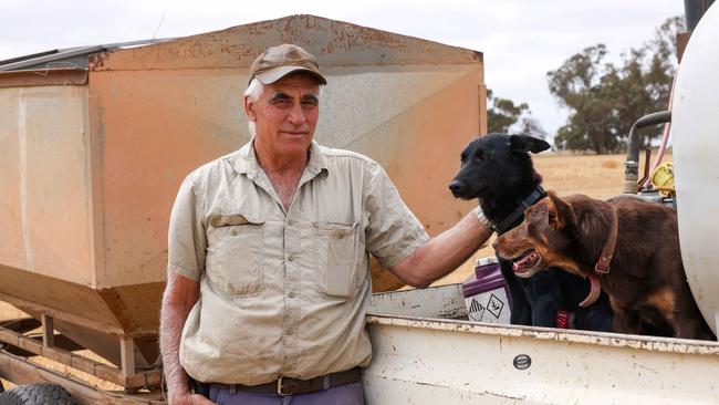 Reid says his shearing numbers will drop by nearly half. Picture: Colin Murty