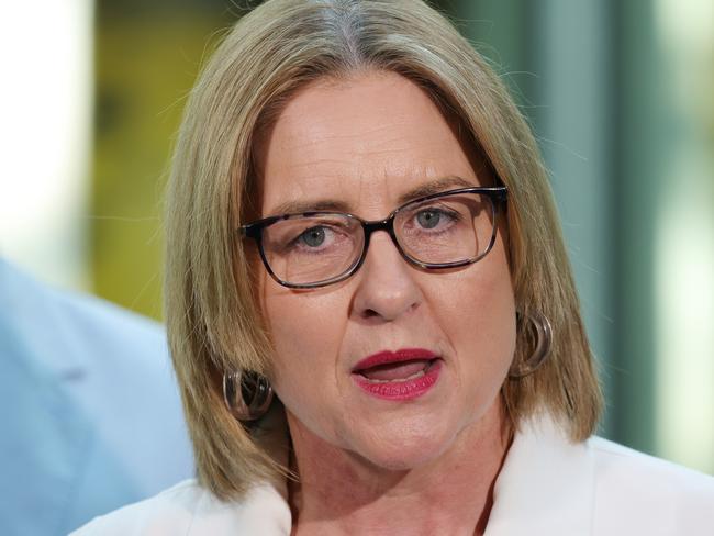 MELBOURNE, AUSTRALIA- NewsWire Photos APRIL 13, 2025: Victorian Premier Jacinta Allan makes an announcement at the National Gallery of Victoria. Picture:  NewsWire/ David Crosling