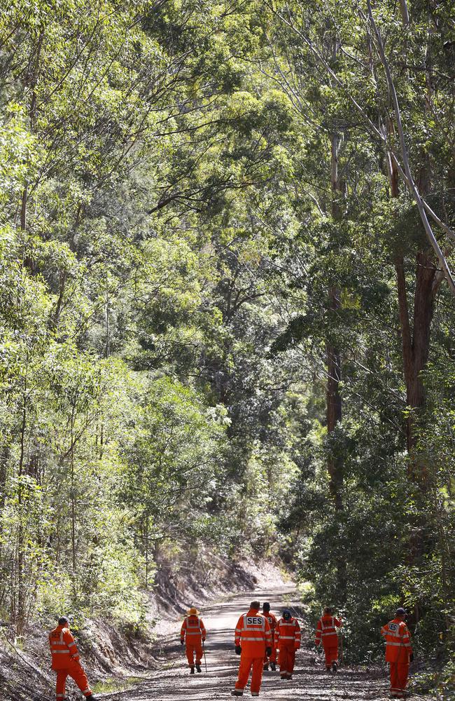 SES volunteers search forest 15km from the town of Kendall after William’s disappearance. Picture: David Moir.