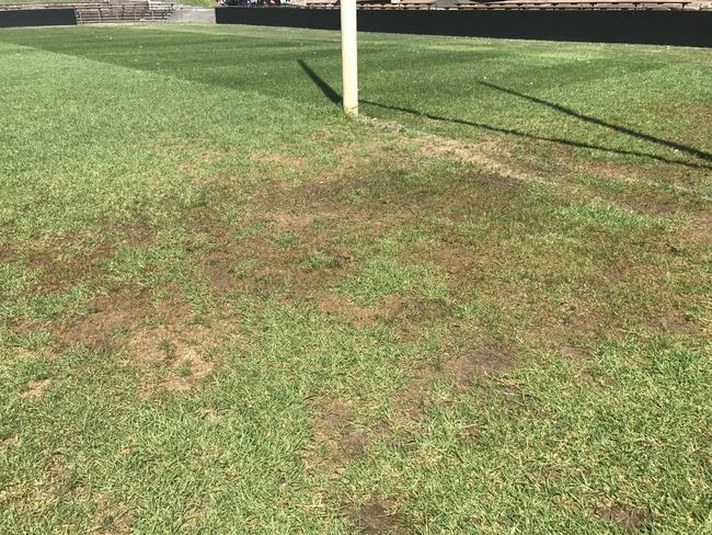 The Brookvale Oval playing surface has a few codes concerned. Supplied