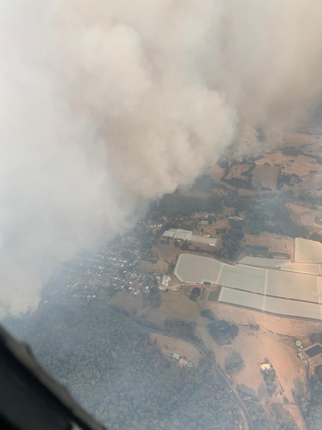 Aerial view of apple orchards in Batlow on January 5, 2020. Image supplied