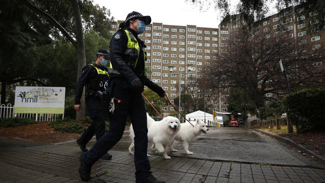 Police are seen walking dogs outside the locked down public housing tower Picture: NCA NewsWire / Daniel Pockett