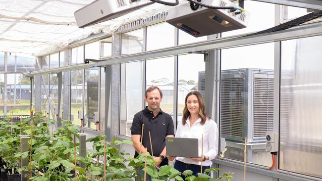 Lauren Goldspink and Neil Robinson in the glasshouse showcasing the PlantEye 3DMultispectral Scanner.