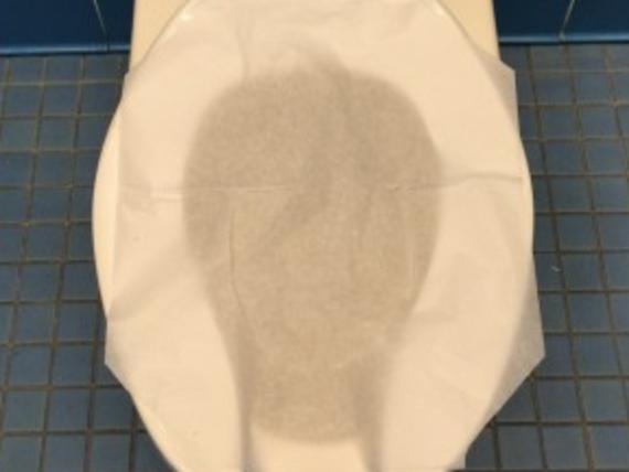 Why toilet seat liners are totally pointless