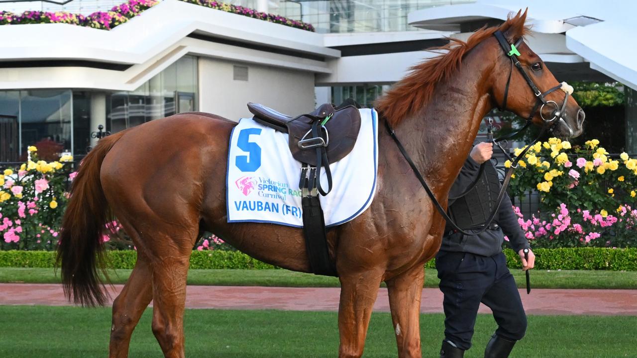 Vauban’s short-priced favouritism has not been a good omen in recent years. (Photo by Vince Caligiuri/Getty Images)