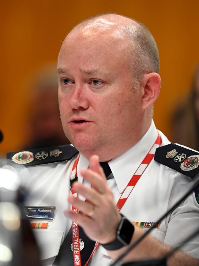 Former RFS commissioner Shane Fitzsimmons. Picture: AAP