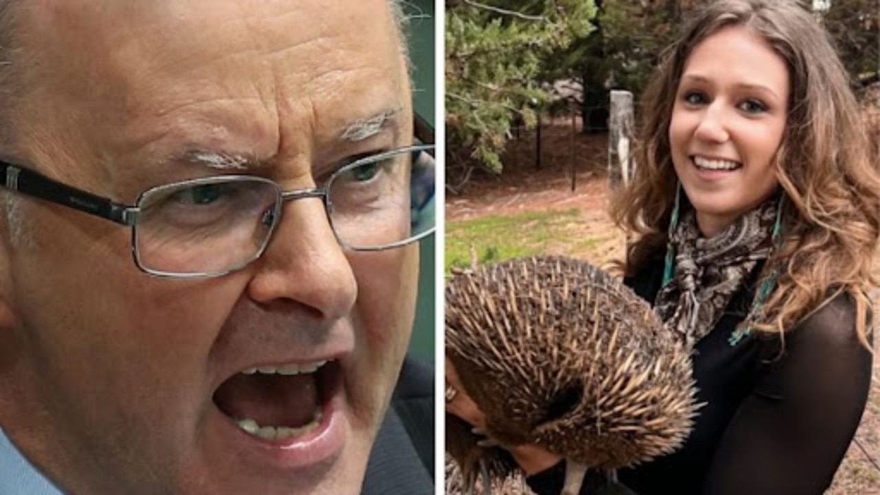 Albo breaks silence on wombat woman