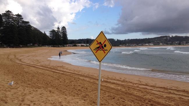 ‘No swimmimg’ signs erected by lifeguards on Avoca Beach this morning after a 13-year-old girl recieved minor injuries when attacked by a shark whilst swimming off the beach