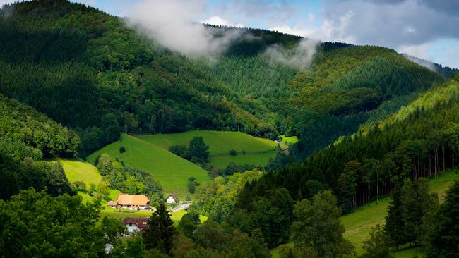 Where the Rhine and Moselle river converge is an amazing place. And that's before we even mention the forests you'll see on this trip